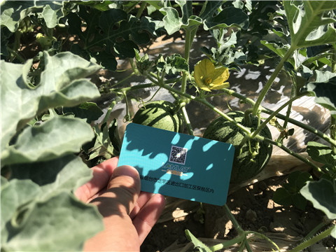 微生物菌劑，磷酸二氫鉀