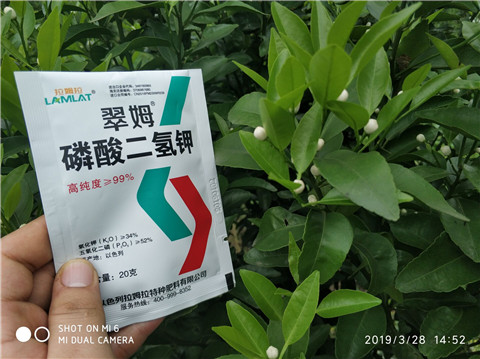 磷酸二氫鉀，硼肥，拉姆拉