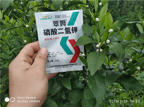 磷酸二氫鉀，硼肥，拉姆拉