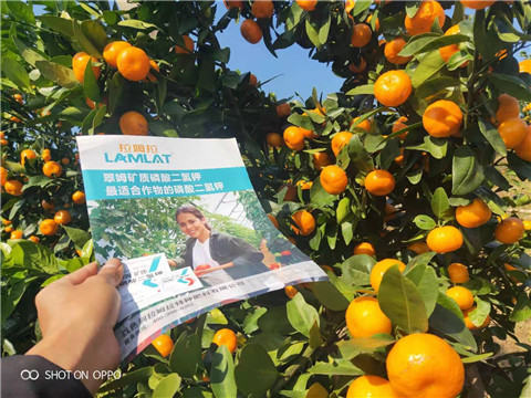 磷酸二氫鉀，硼肥，拉姆拉