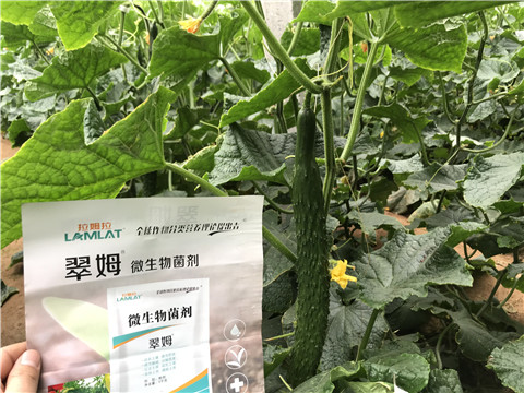 微生物菌劑，水溶肥，拉姆拉