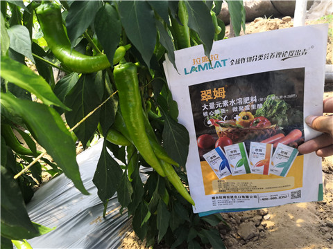 微生物菌劑，復(fù)合肥料，拉姆拉