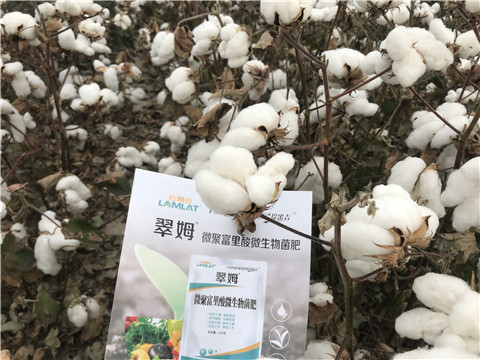 微生物菌劑，根碧多，拉姆拉