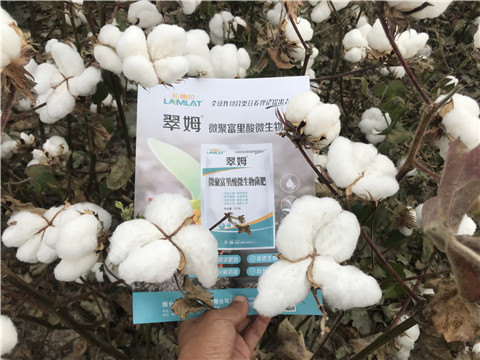 微生物菌劑，根碧多，拉姆拉