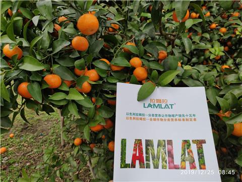 硼肥，拉姆拉