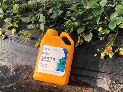 根碧多，微生物菌劑，拉姆拉