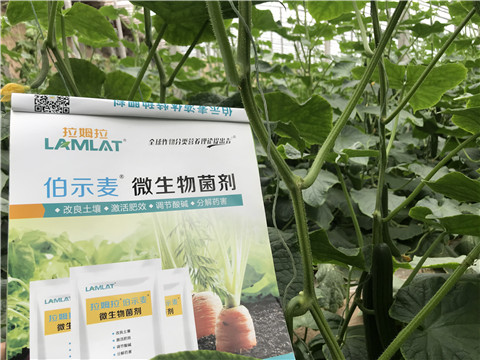 微生物菌劑，生根劑，拉姆拉