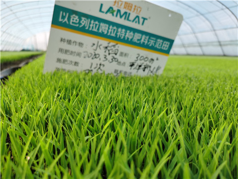 微生物菌劑，拉姆拉