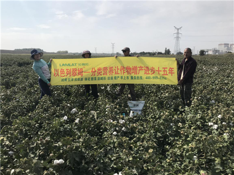 葉面肥，拉姆拉