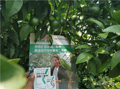 磷酸二氫鉀，拉姆拉