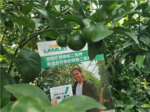 磷酸二氫鉀，拉姆拉