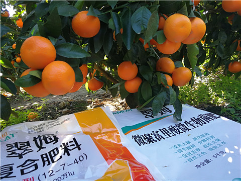 水溶肥，拉姆拉