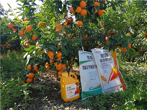 水溶肥，拉姆拉