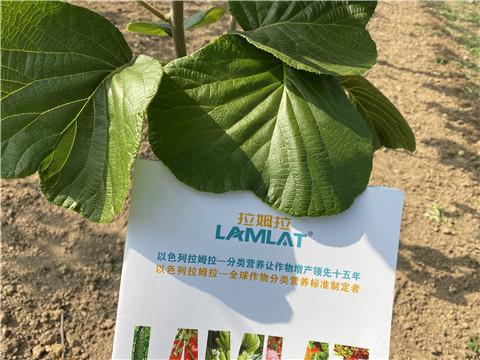 大量元素水溶肥，拉姆拉