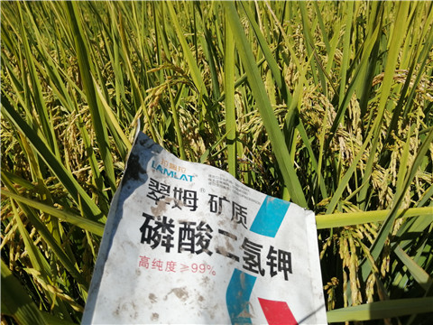 磷酸二氫鉀，翠姆，拉姆拉