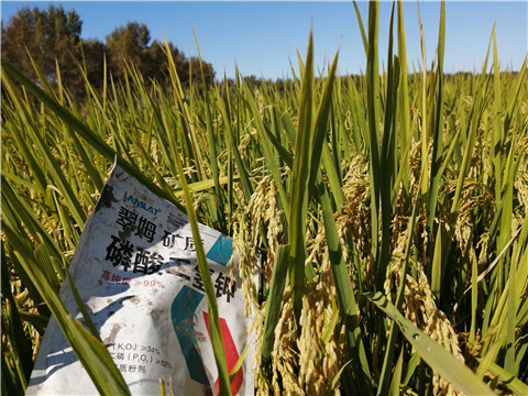 磷酸二氫鉀，翠姆，拉姆拉