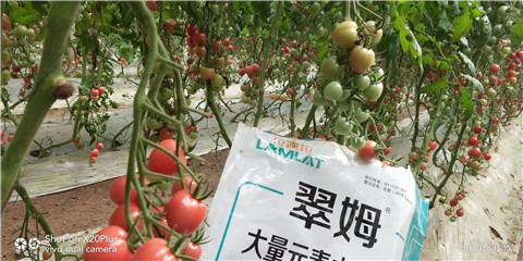 水溶肥，翠姆，拉姆拉