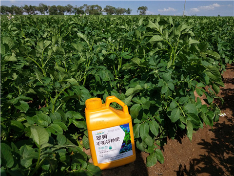 水溶肥，翠姆，拉姆拉