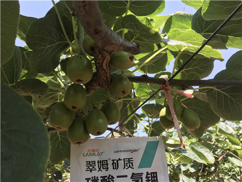 磷酸二氫鉀，拉姆拉