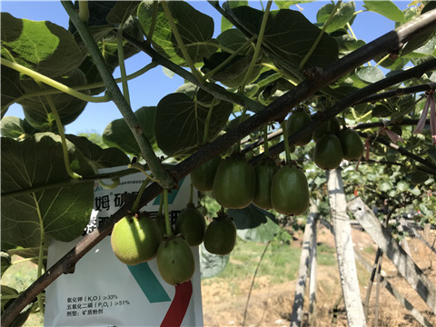 磷酸二氫鉀，拉姆拉