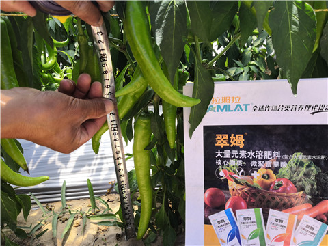 復(fù)合肥料，拉姆拉