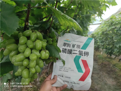 磷酸二氫鉀，拉姆拉