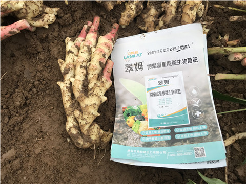 微生物菌劑，翠姆，拉姆拉