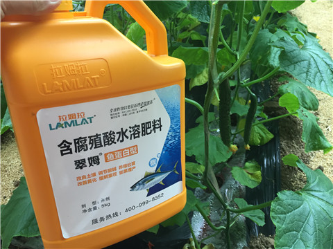 生根劑，魚蛋白水溶肥，拉姆拉