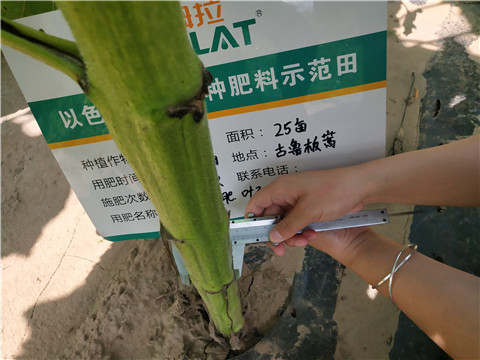 水溶肥，微生物菌劑，拉姆拉