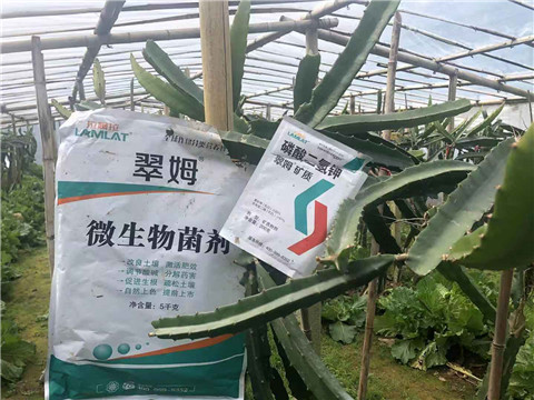 磷酸二氫鉀，翠姆，拉姆拉