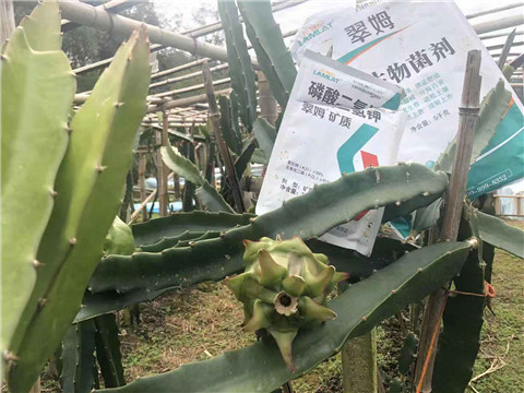 磷酸二氫鉀，翠姆，拉姆拉