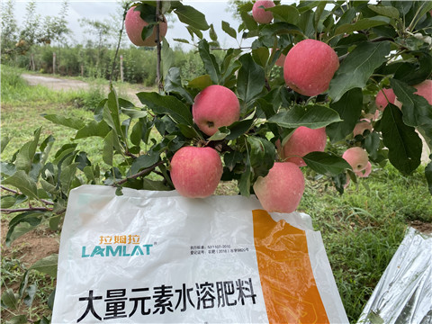 水溶肥，翠姆，拉姆拉