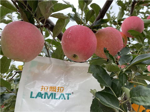 水溶肥，翠姆，拉姆拉