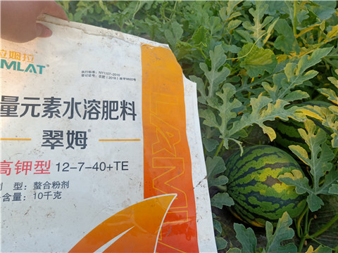 水溶肥，拉姆拉，翠姆