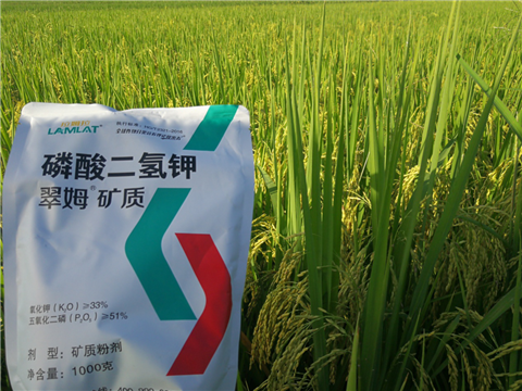 葉面肥，水稻灌漿肥，拉姆拉