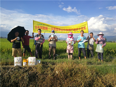 葉面肥，水稻灌漿肥，拉姆拉