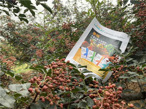 花椒種植，大量元素水溶肥，翠姆