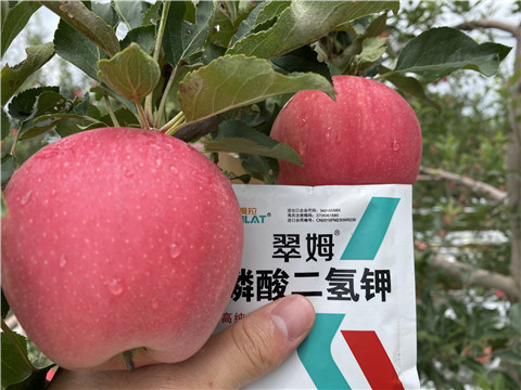 高鉀水溶肥，磷酸二氫鉀，拉姆拉，翠姆