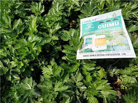 高鉀水溶肥，磷酸二氫鉀，拉姆拉，翠姆