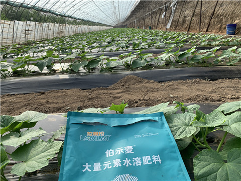 水溶肥，拉姆拉