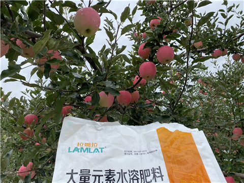 進(jìn)口水溶肥品牌，拉姆拉，翠姆