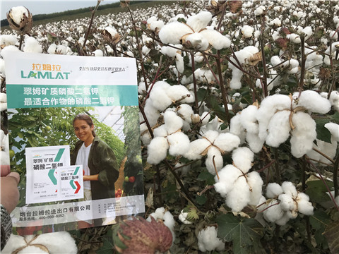 進(jìn)口水溶肥，翠姆，拉姆拉