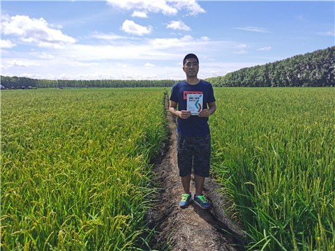 磷酸二氫鉀，拉姆拉，翠姆