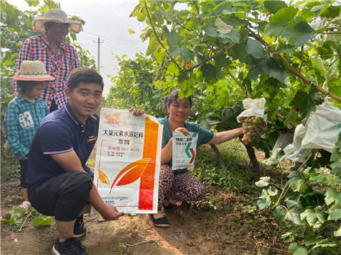 進口水溶肥，拉姆拉