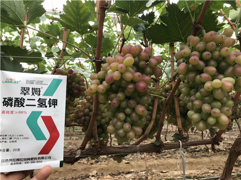 進口水溶肥，拉姆拉