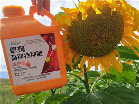 進口水溶肥，拉姆拉