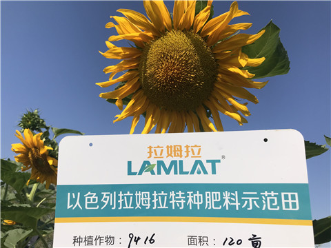 進口水溶肥，拉姆拉