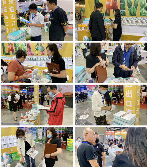 植保會，拉姆拉，翠姆