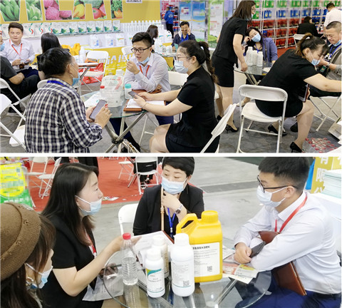 植保會，拉姆拉，翠姆