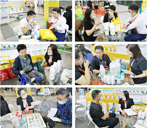 植保會，拉姆拉，翠姆